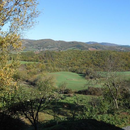 Chambre D'Hotes Des Monts Saint-Izaire Luaran gambar