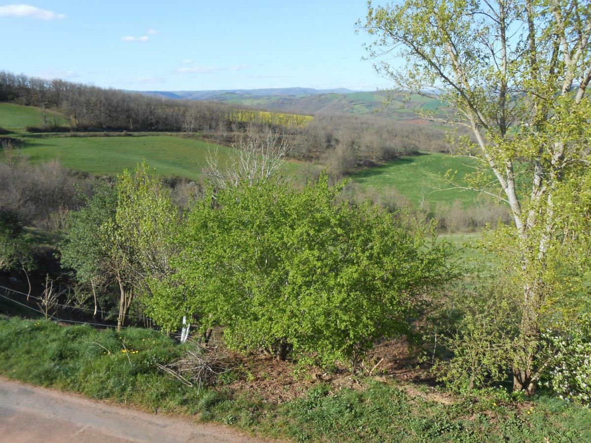 Chambre D'Hotes Des Monts Saint-Izaire Luaran gambar